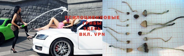 мет Балахна