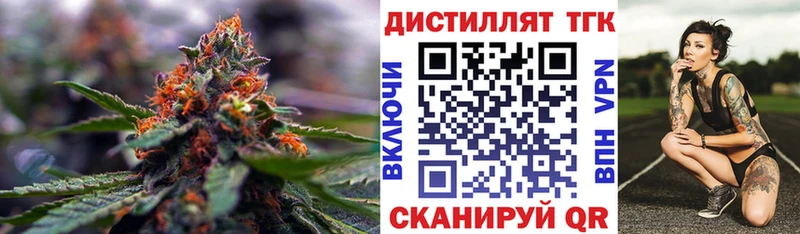 площадка состав  Грязовец  ТГК Wax 